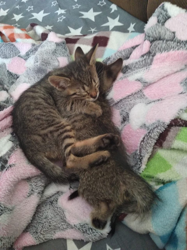 1976F2A5-2F75-46C7-AACD-DE588EE4F4AD