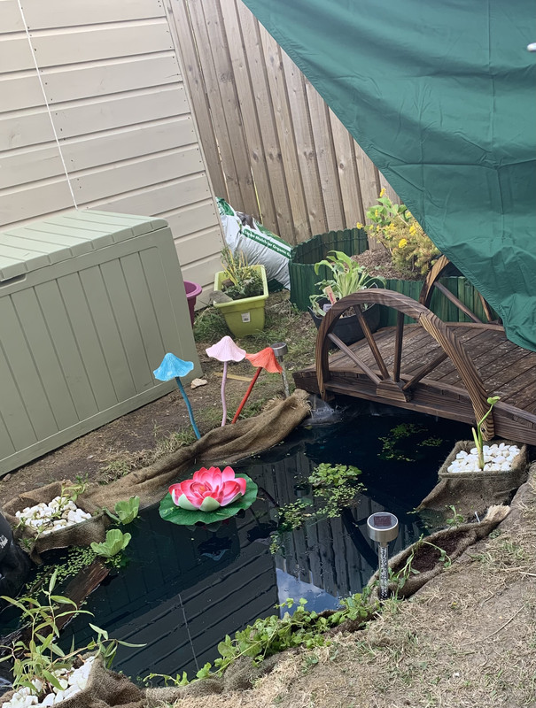 BF08A837-395B-43F0-9574-C5991E4F7DF1