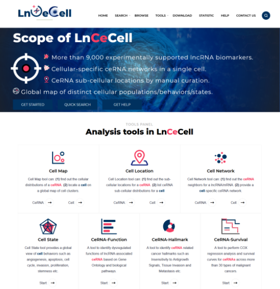LnCeCell-1.png