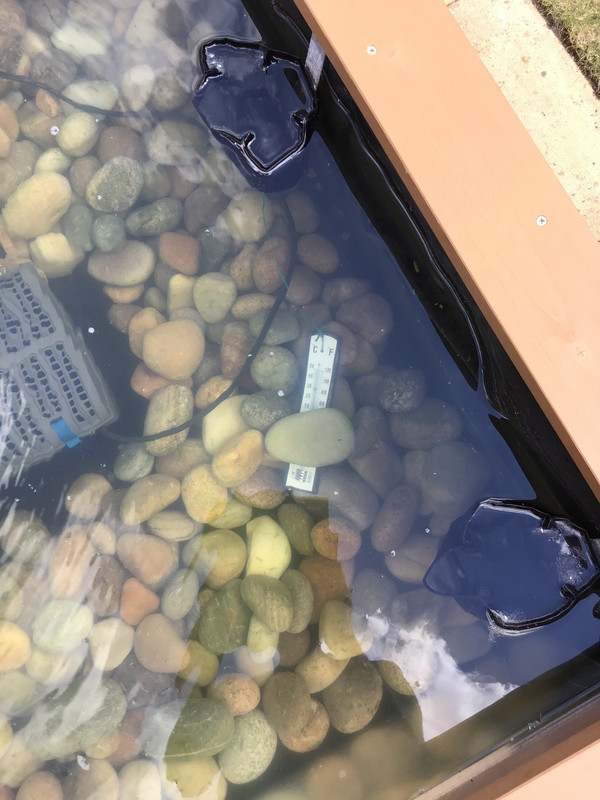 C2F9CDDB-12BC-4DDD-A47B-91B1F2B3AB69