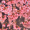 Stock-3620