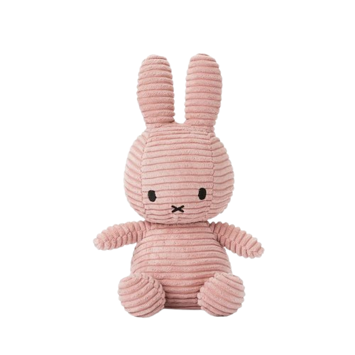 plushie png