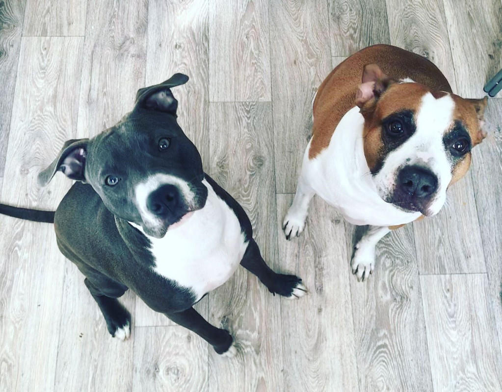 E6978DBF-0ABC-41E8-A259-61CB56ACA6B6