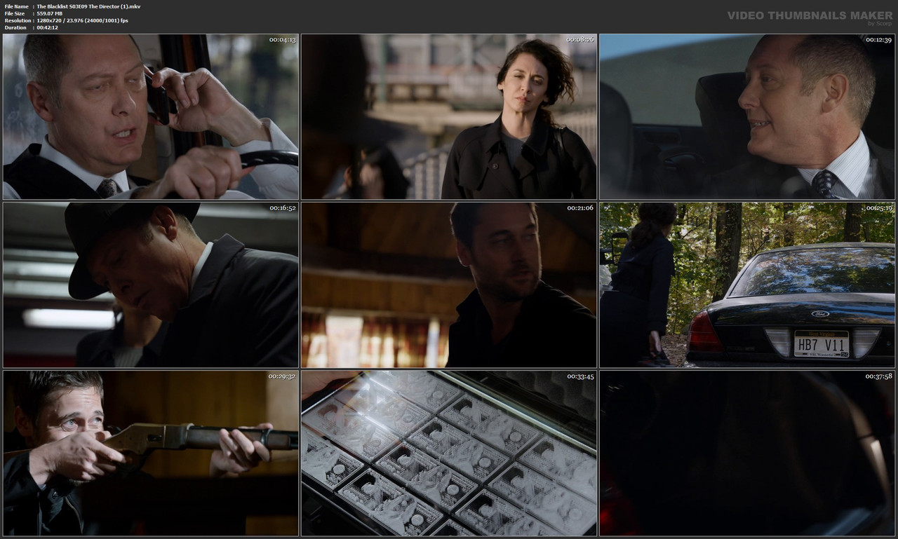 The Blacklist S03E09 The Director (1).mkv
