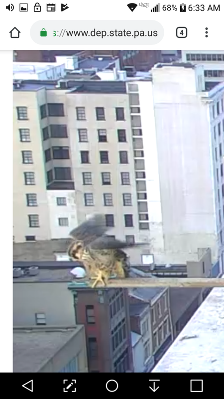 Screenshot_2019-07-10-06-33-45