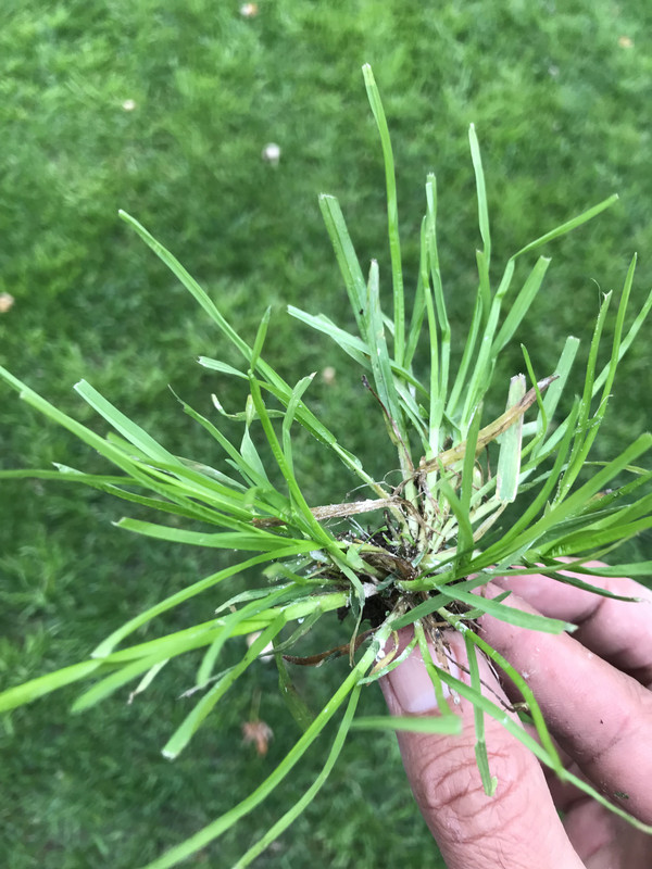 31F7E365-1FA0-4972-9D67-68849218FAEC