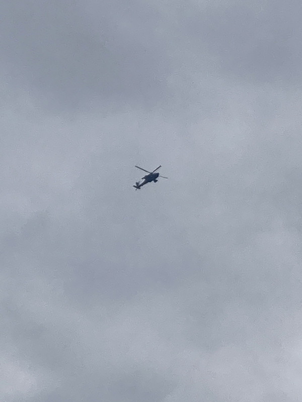 36D1BC51-C805-4844-9896-F3E57783A3E9