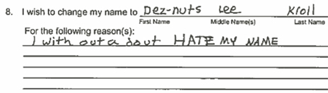 dn2011excerpt.jpg