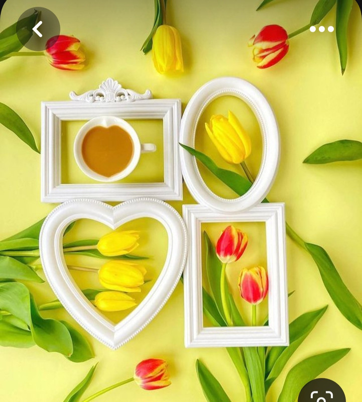 Screenshot_20230710_233503_Pinterest