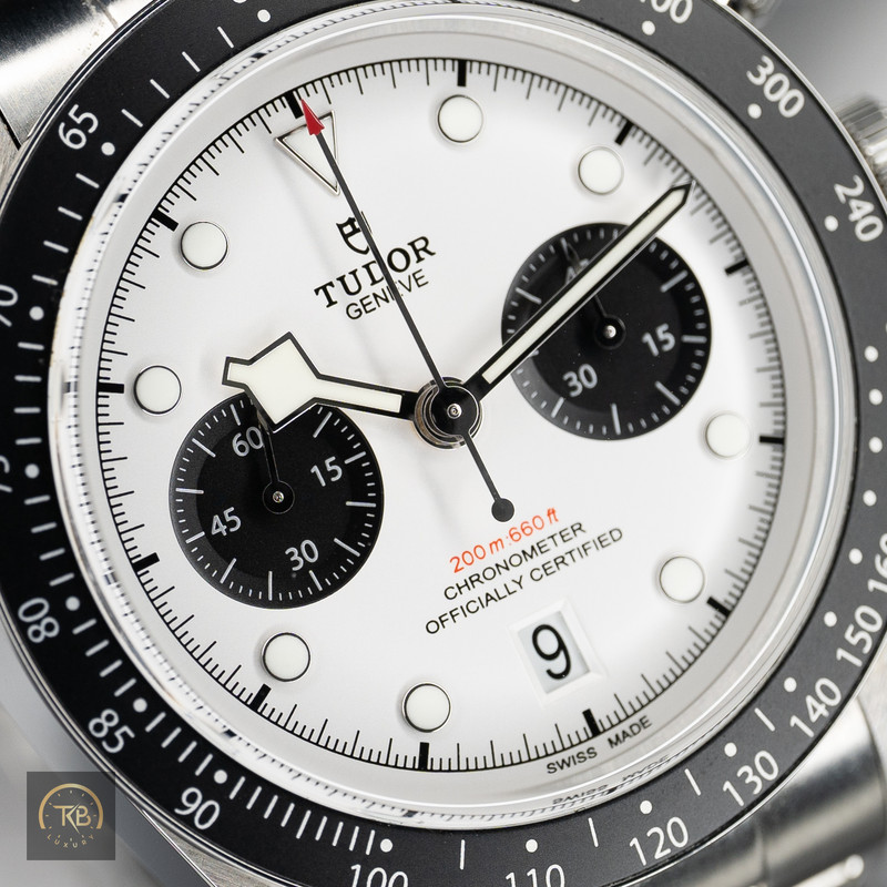 Tudor Panda - Image 5