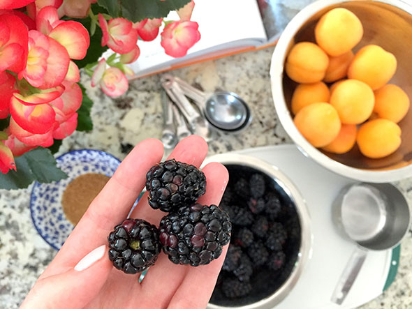Apricot and blackberry galette