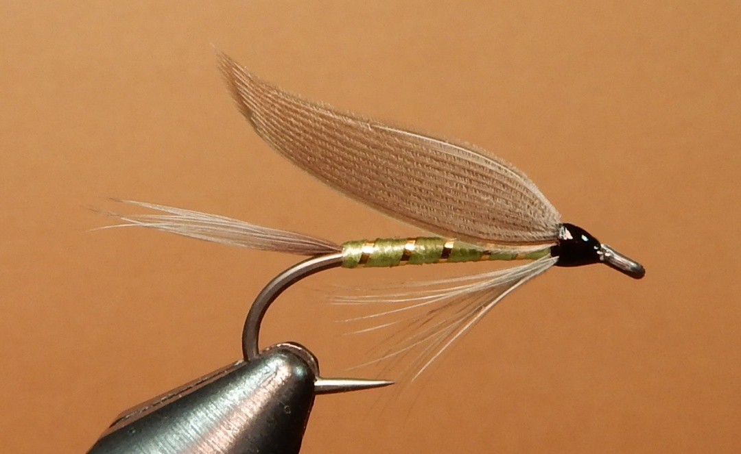 Golden-Dun-Midge-1080.jpg
