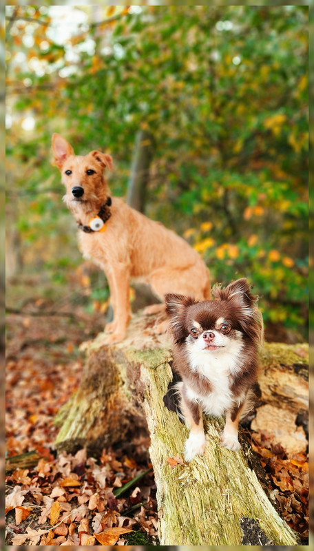 Lumii_20251019_162653435