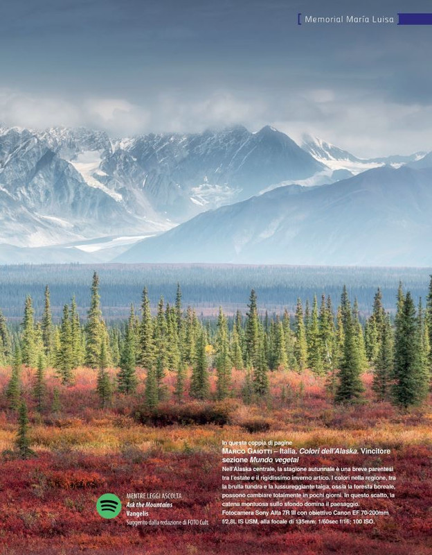 FOTO Cult Lug 2021 (2)