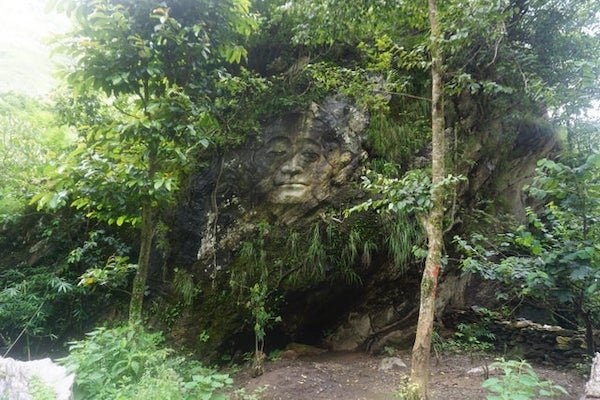 Nature-19
