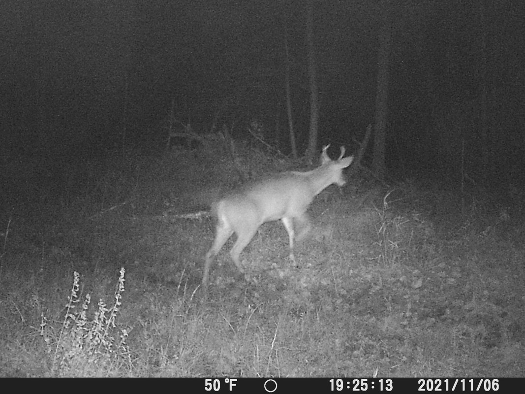 B252CBFD-5458-49EC-9627-CAD421D8EC61