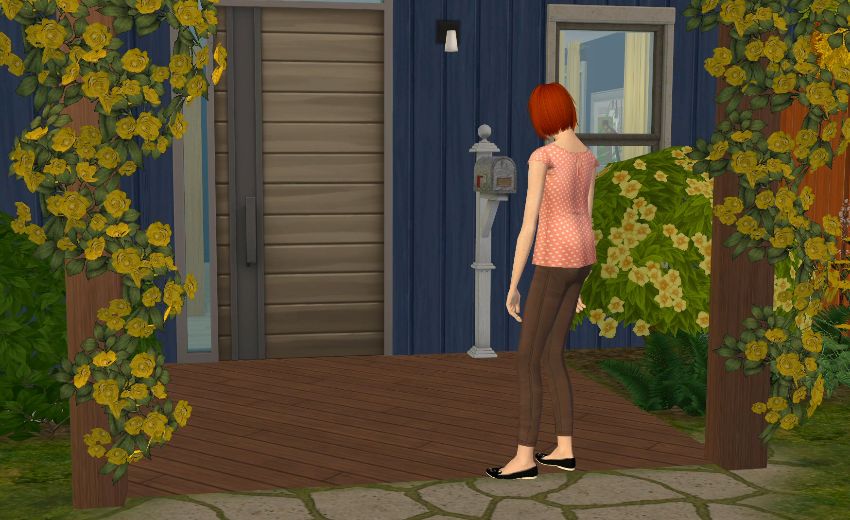 Sims2-EP9-2020-10-24-19-04-14-56