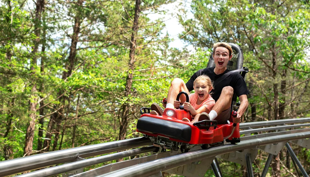 Alpine Slide Branson