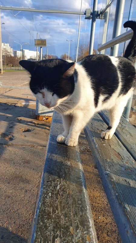 1799F042-7E7C-4E91-A600-169A2C2DAB9C