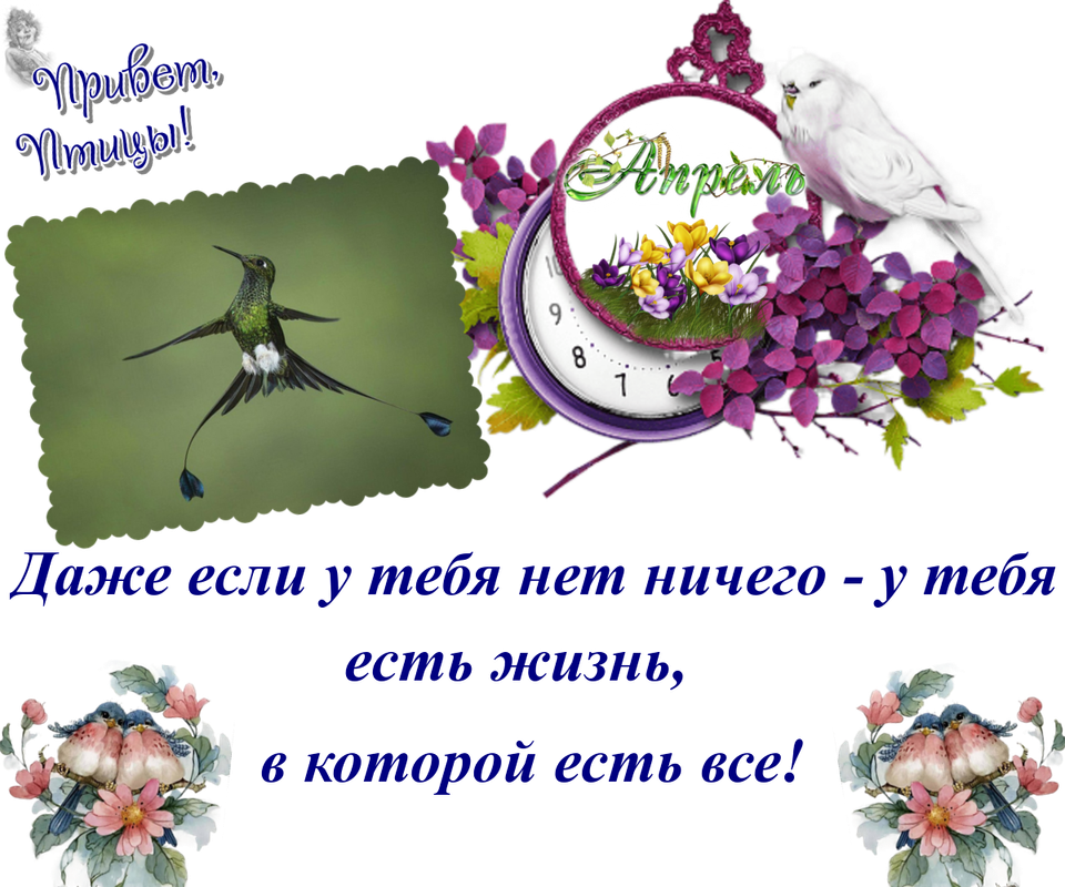 https://i.postimg.cc/xC9Y1hS3/23-04.png