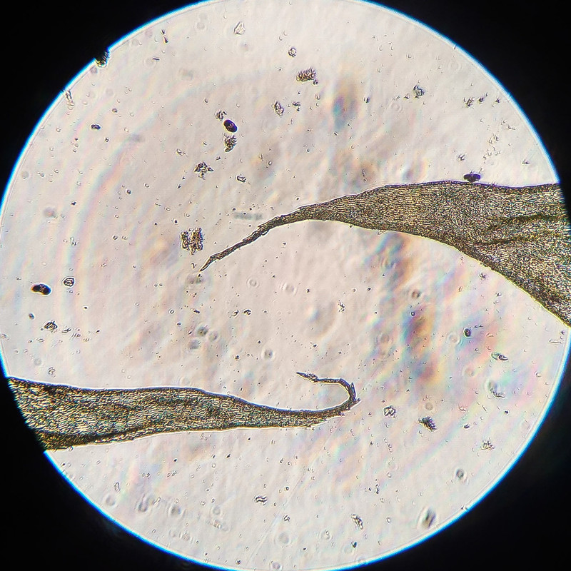 IMG 20250616 205617 HDR