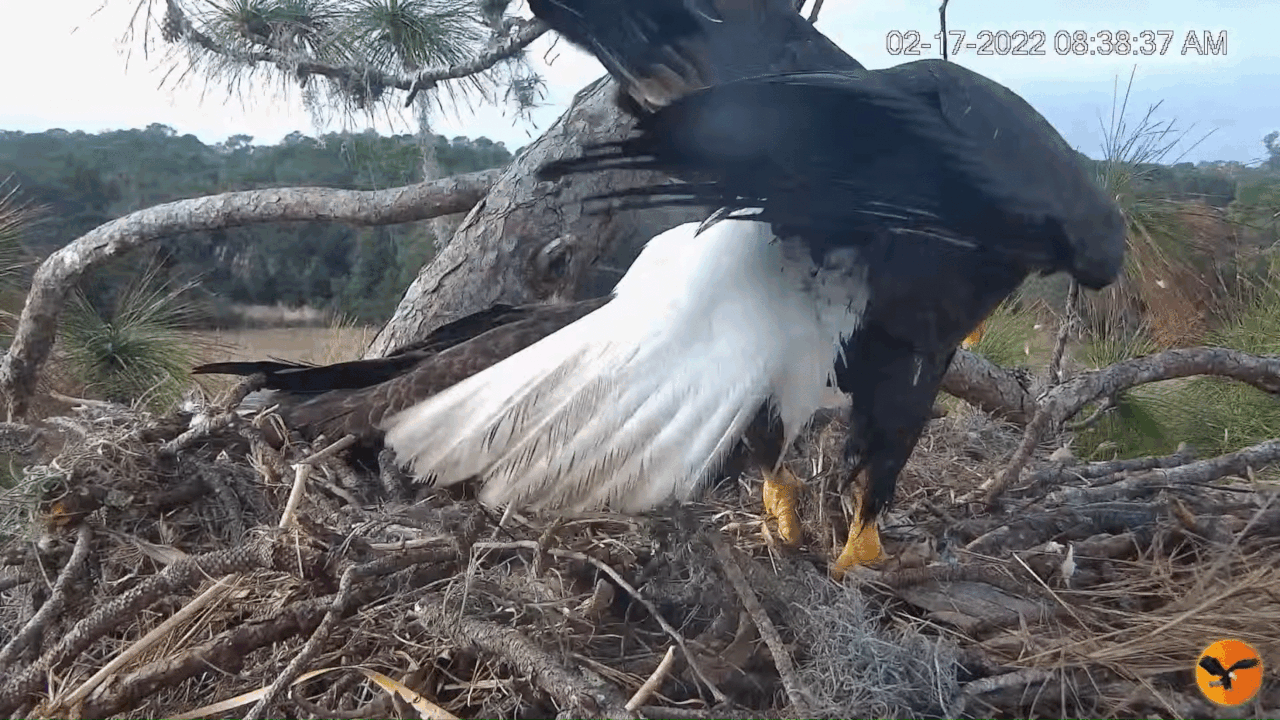 Webp.net-gifmaker (4)