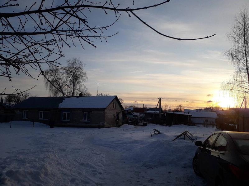 Удаление дерева с аккуратным спуском секций — арбористика, Самара