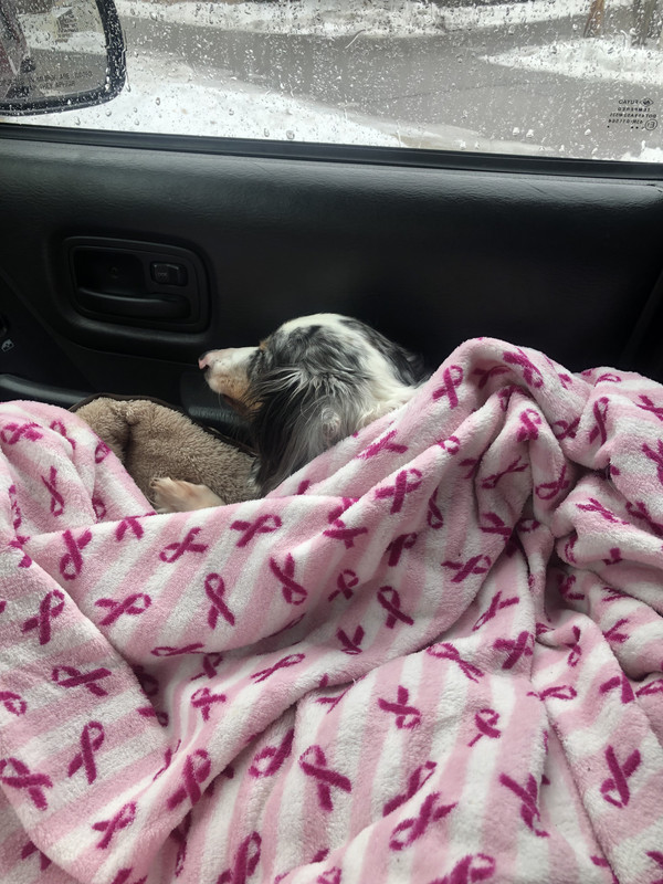 42FFE1DE-0284-4834-8A2E-77FE5A07DC1A