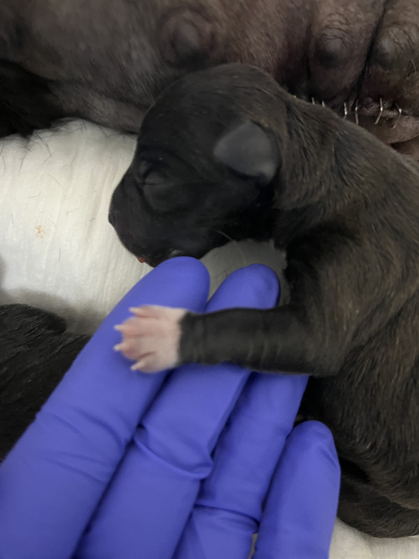 668F5585-F013-487E-93E2-13DF601099CE