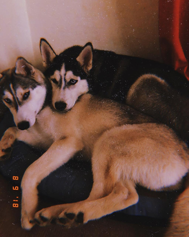 WhatsApp Image 2019-07-17 at 20.35.50(1)