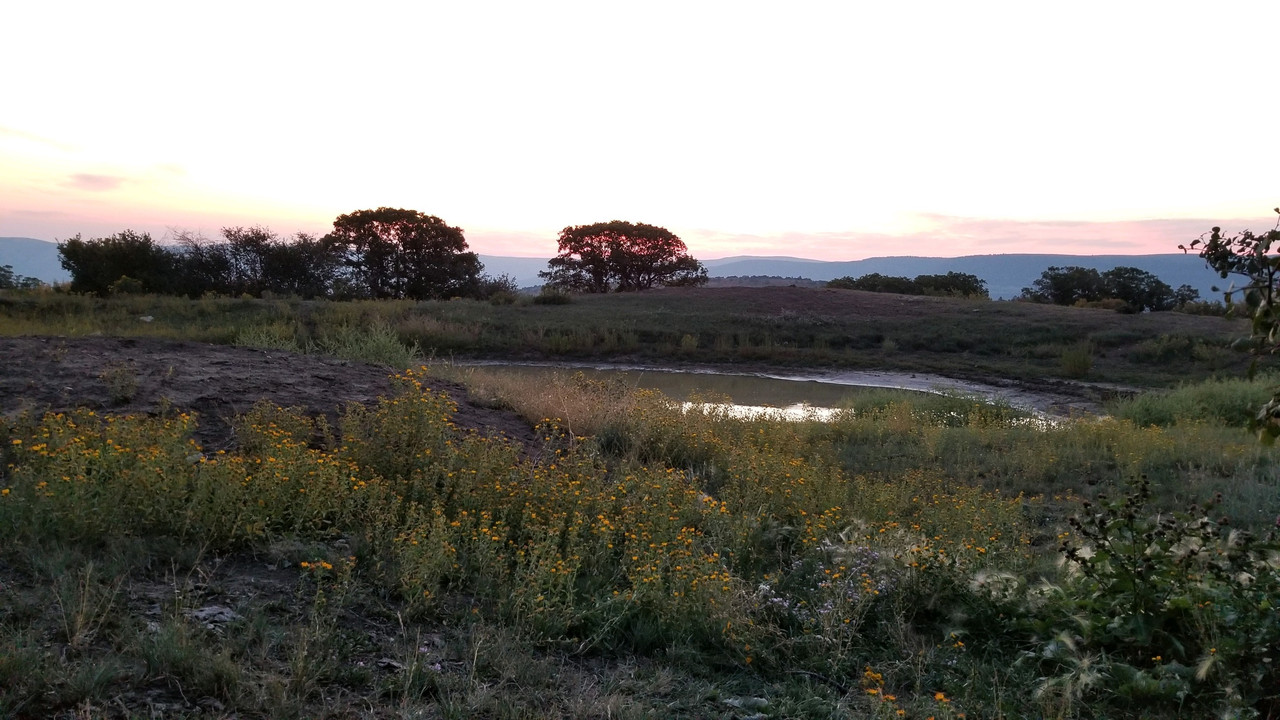 E6A78E17-F591-4979-8767-EB464B7E5B66