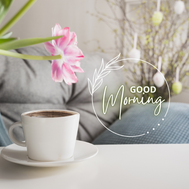 vartotojo kelta nuotrauka