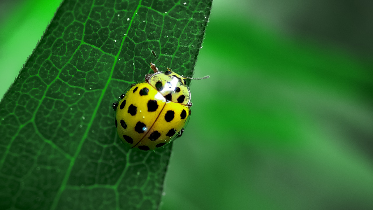 IMG_20210607_135944(1)