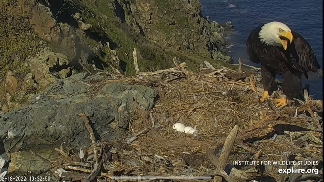 960FCD89-CB6E-485D-BEED-515D7A8FF0DC