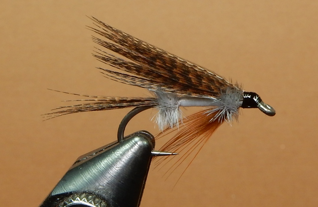 Shoemaker-1080.jpg