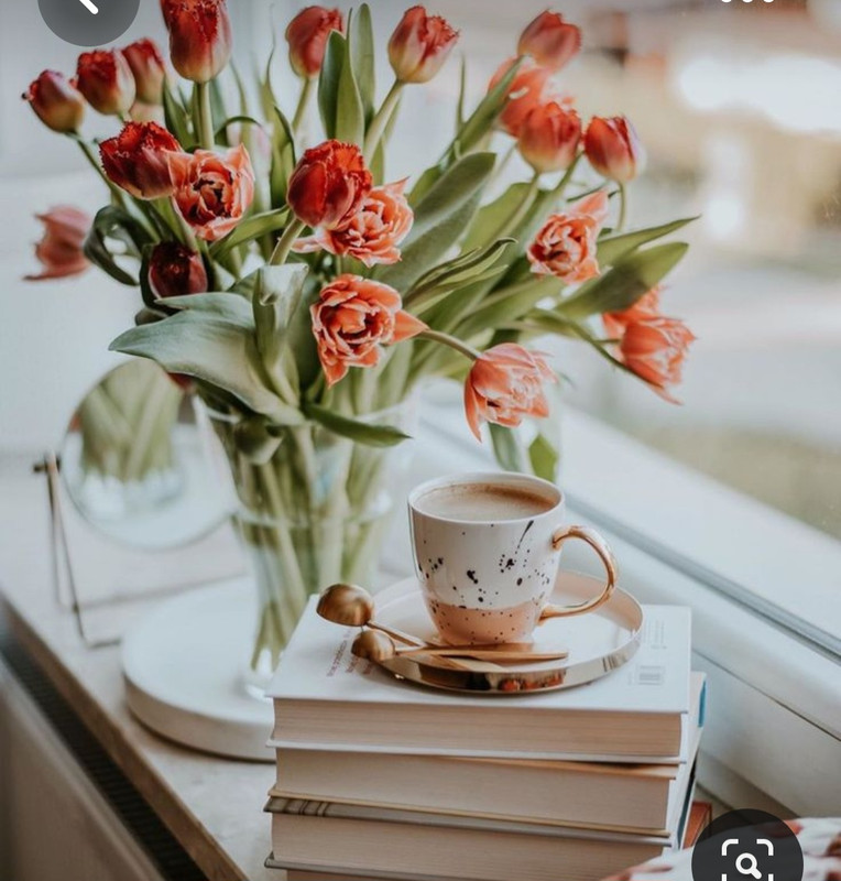 Screenshot_20230717_220535_Pinterest