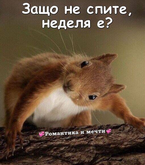 352578031_980541483396363_7390098103957865612_n