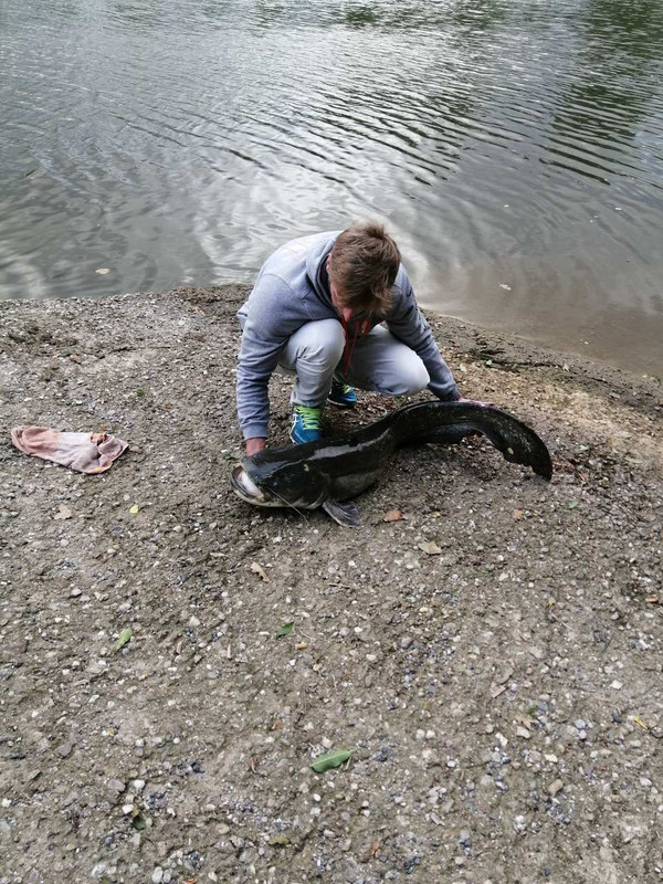 IMG-75f4d667d27b3a2ccb97682959793134-V-1