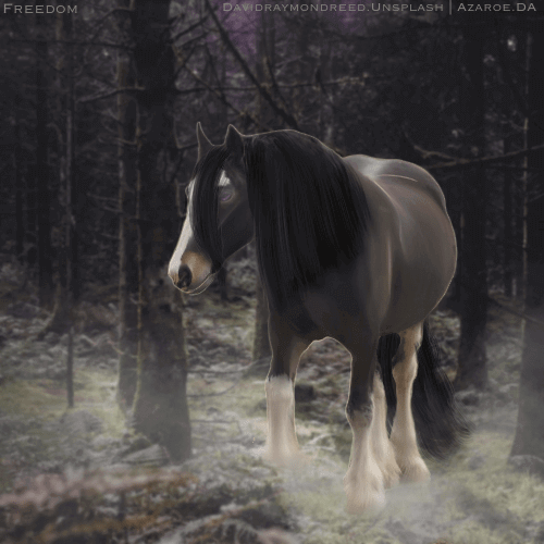 80D0074B-0914-4C5A-BE21-EBCD2EDAC8AD