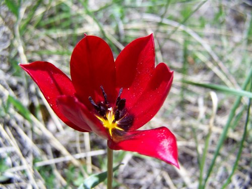 BIG_100_7103 (3000x2250)_1515435712234