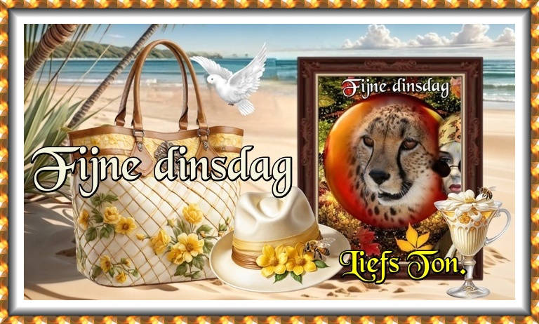 www.krabbelplaatjes.com