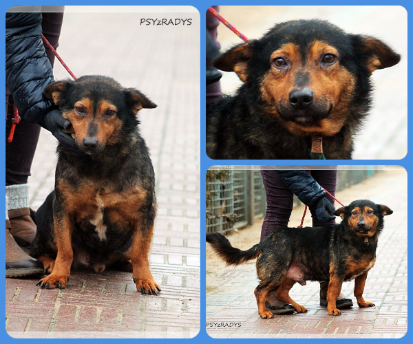 BeFunky-collage (20)