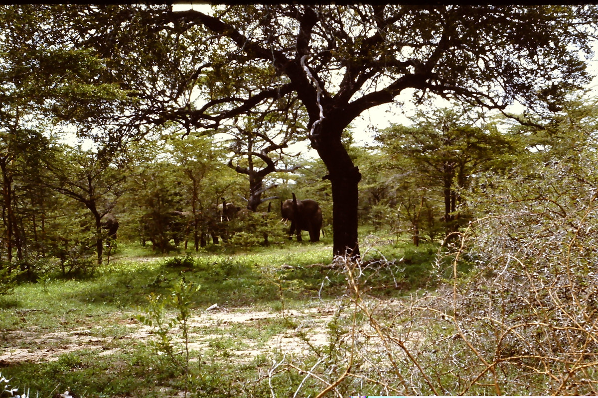 Tanzania 066