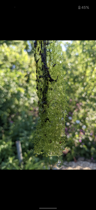 Screenshot_20220628-083006