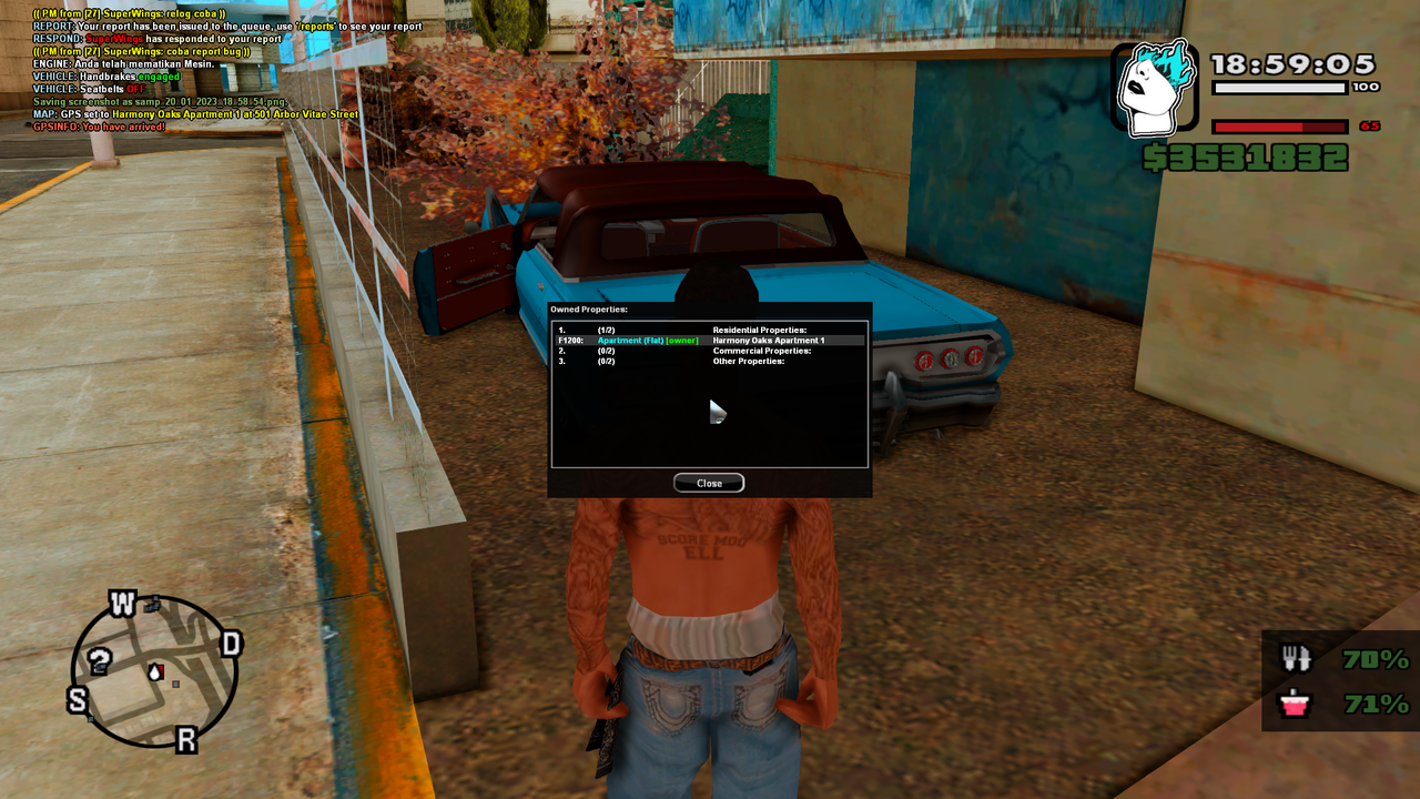 samp-20-01-2023-18-59-05.png