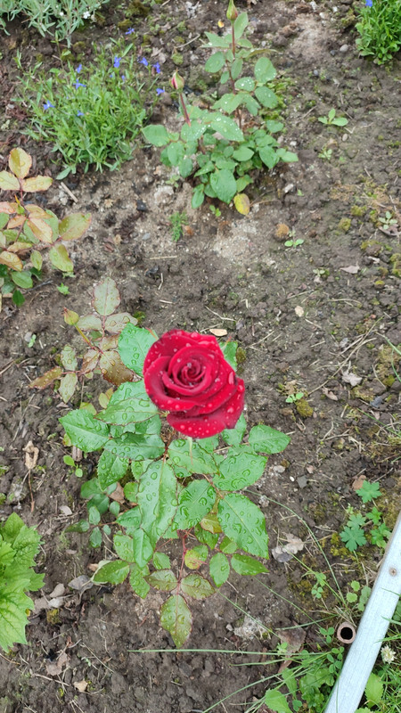 IMG_2023_07_12_10_26_58_7788592730700431382198