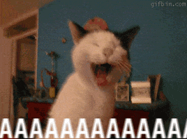 200.gif