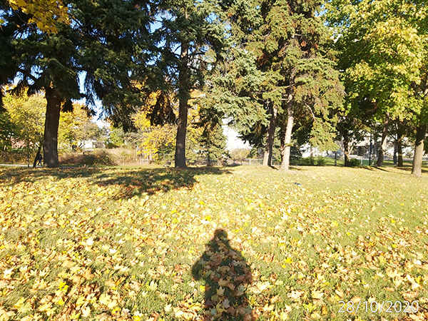 [Image: IMG-20201028-162406.jpg]