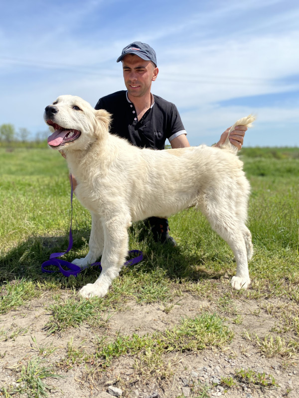 8BB5A4C1-EB6A-47D7-80D5-1554CE0CCB0C