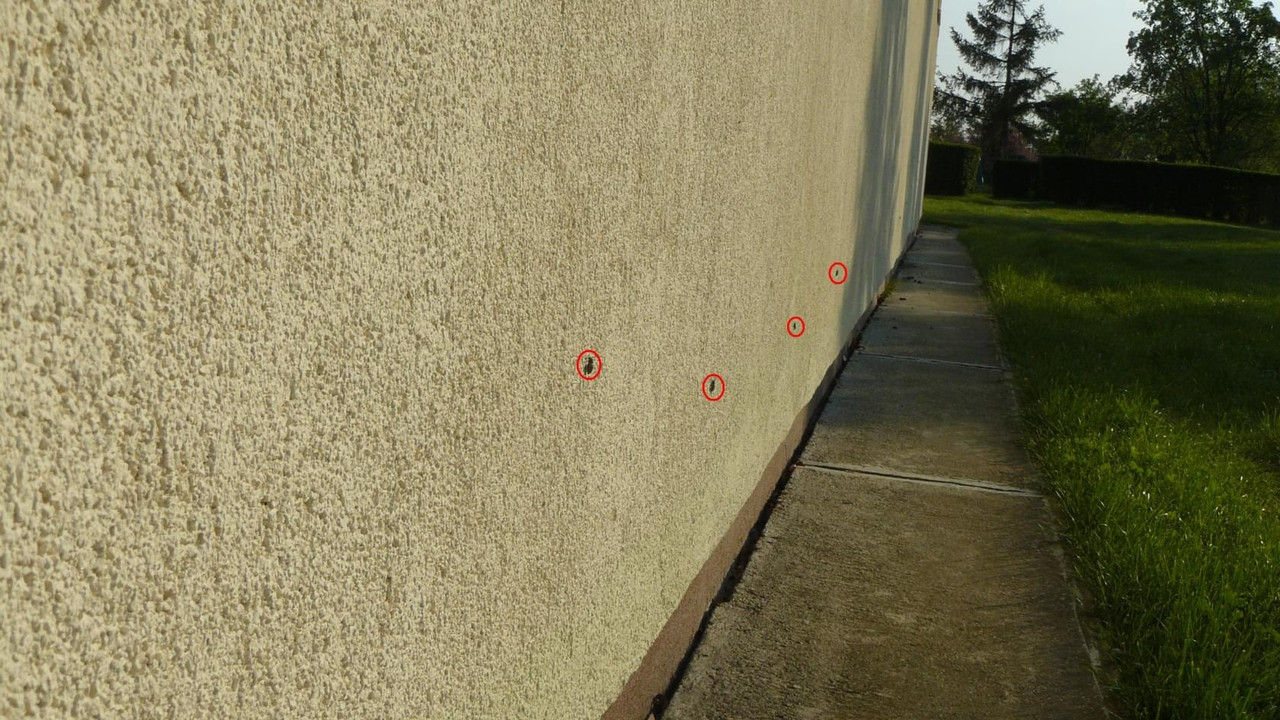 [Obrazek: 703e444cdf38847d.jpg]